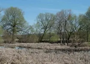 A wide-angle view of the original crime scene near a creek in the Eastern Townships of Québec, where the body was discovered in 1979.