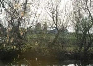 The DOP, deeply engrossed, adjusts the camera settings, ensuring that the forthcoming scene near the historical crime site is captured with the precision it warrants. Every dial turned and lens adjusted is done with a mindfulness of the sensitive nature of the location and the story being told. This image reflects the careful preparation and technical expertise that goes into creating each moment in "Citizen Detective," ensuring the narrative is conveyed with clarity and respect for the historical events that unfolded at the site.