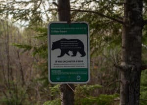 Sign warning of bears in the region and providing instructions for potential encounters
